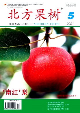 北方果树杂志