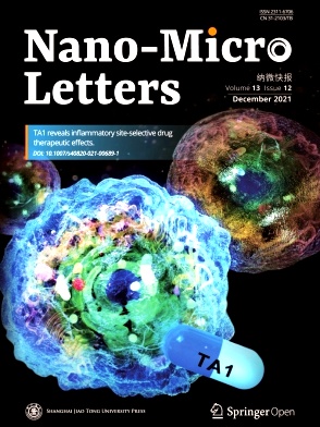Nano-Micro Letters