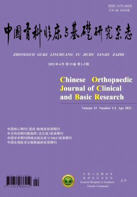 中国骨科临床与基础研究杂志
